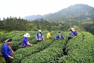 三江扶貧隊(duì)員 侗歌傳唱新生活，農(nóng)副產(chǎn)品暢銷(xiāo)路