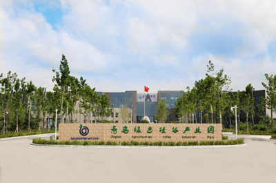 青島綠色硅谷科技園 美麗鄉(xiāng)村打卡地的科技與生態(tài)融合